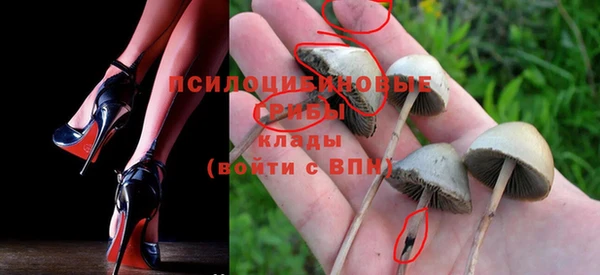 дурь Алзамай