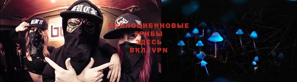 синтетический гашиш Алексеевка
