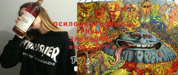 дурь Алзамай