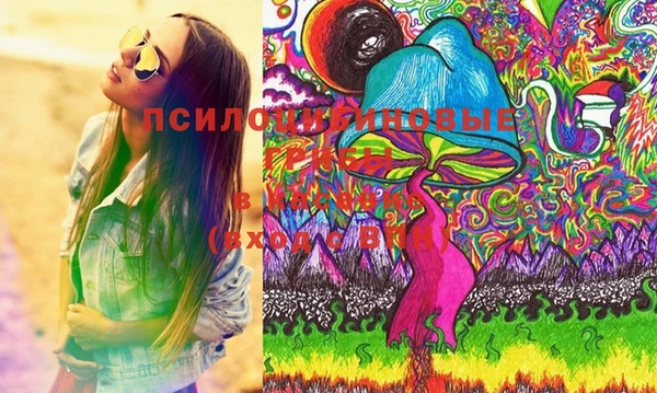 синтетический гашиш Алексеевка