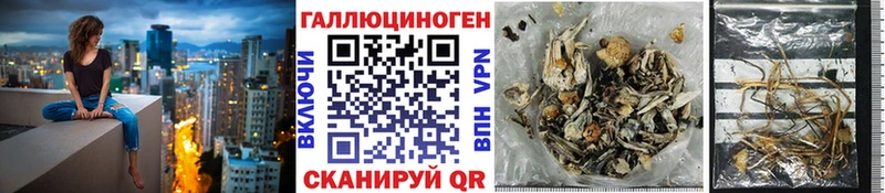 купить наркоту  Нурлат  Галлюциногенные грибы Psilocybine cubensis 